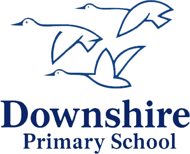 Downshire Primary School, Hillsborough