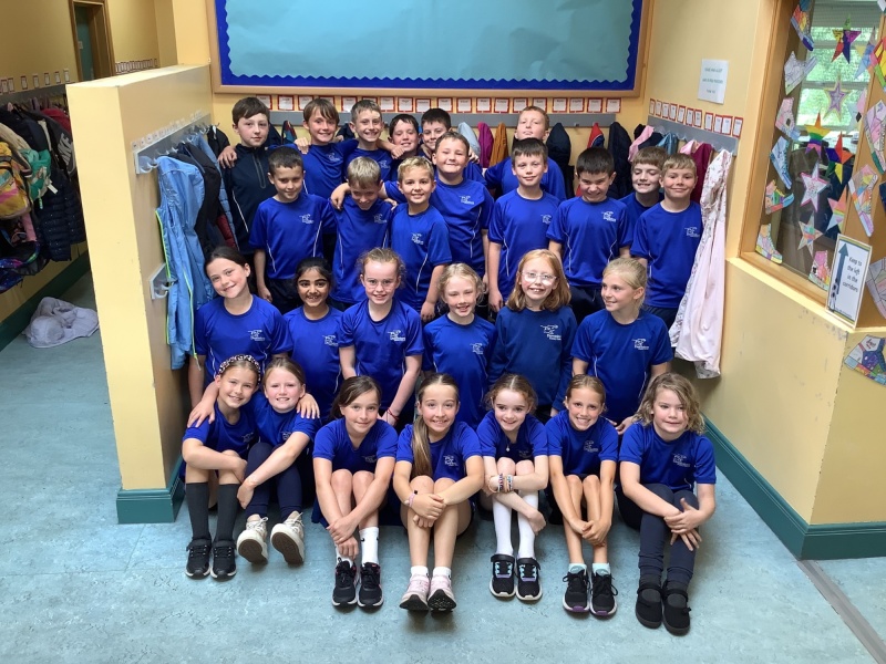 P6S
